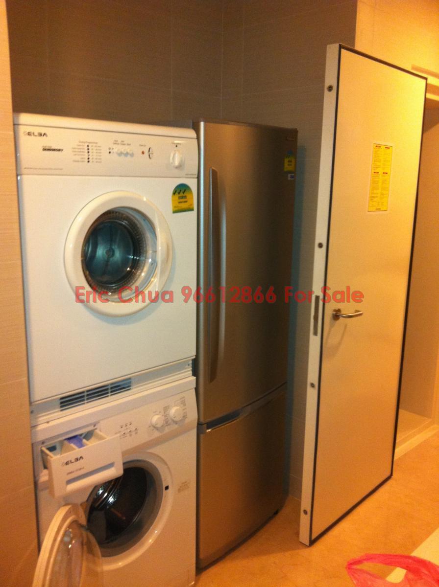 Angullia Park Residences @ Orchard (D10), Apartment #101153922